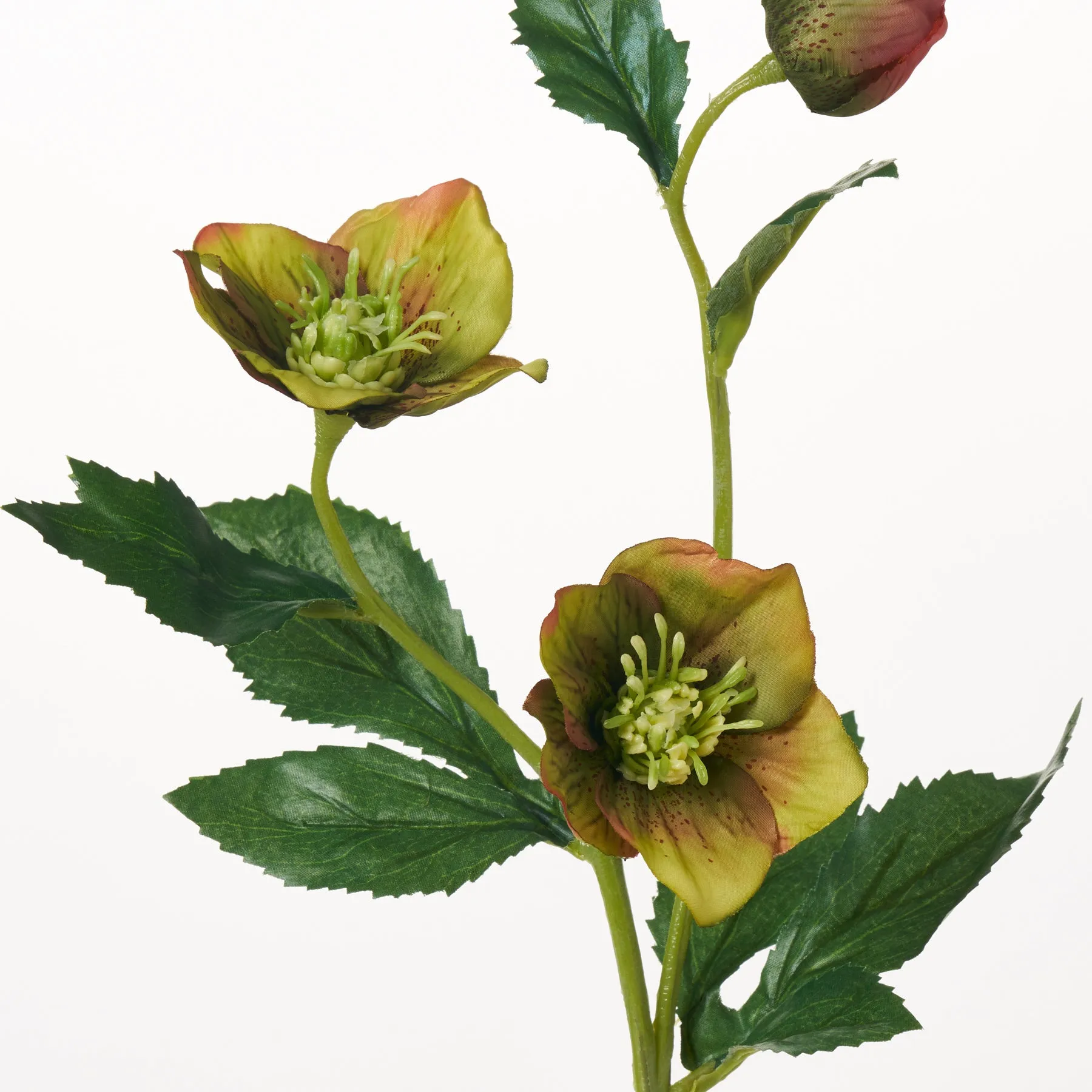 Green Chartreuse Helleborus Blooms Faux Winter Spring Stem Floral Spray - 23"