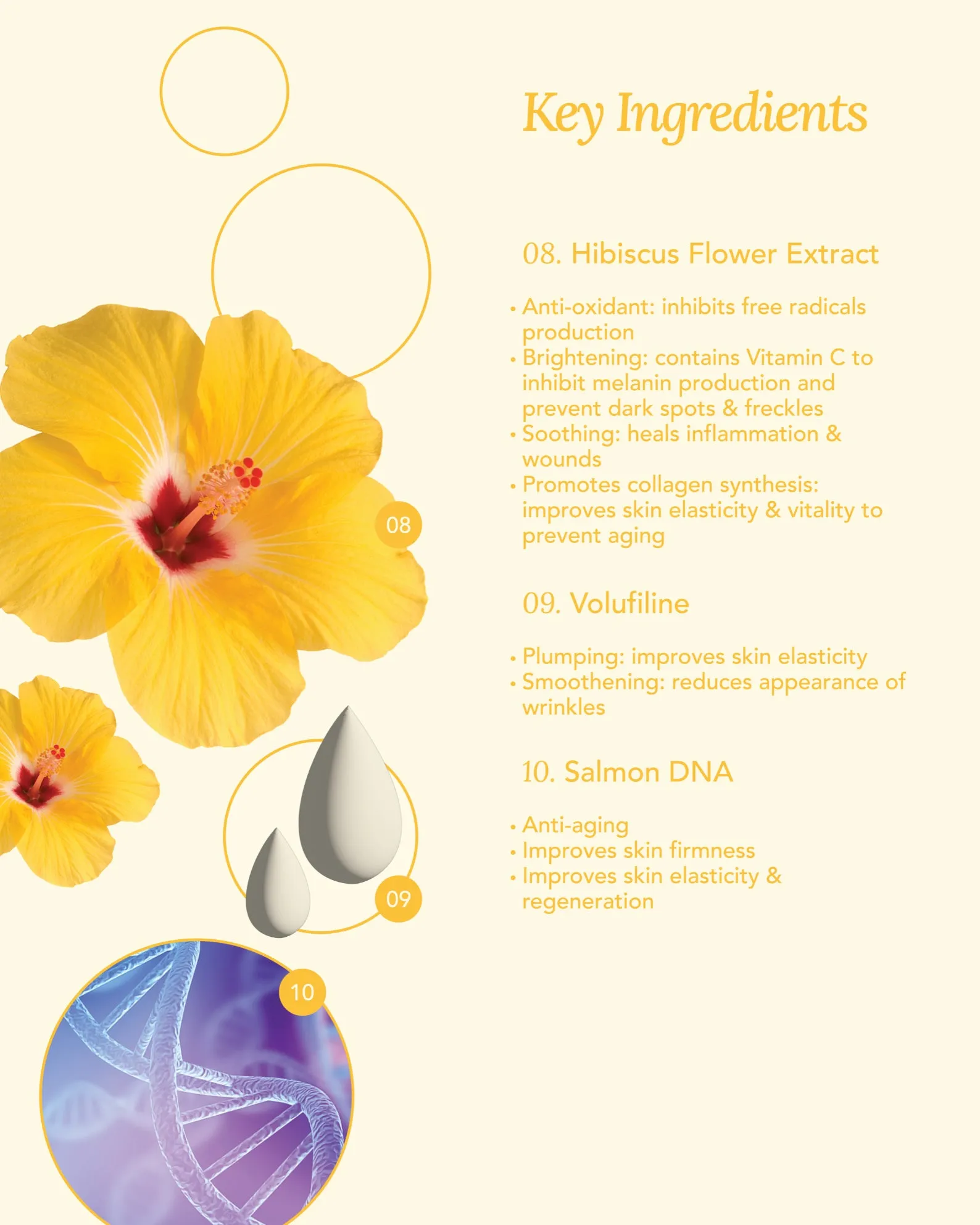 [PROMO] Jung Beauty Probiotics Firming & Brightening Eye Serum